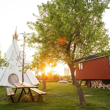 Campsite Slapen Tussen De Schapen In Pipowagen De Ome Jan *