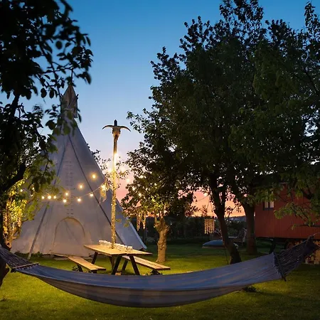 Campsite Slapen Tussen De Schapen In Pipowagen De Ome Jan Zennewijnen