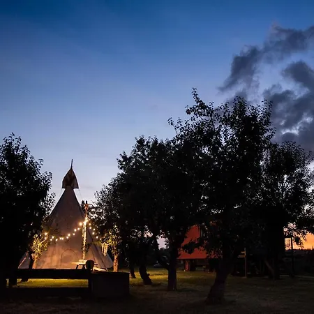 Campsite Slapen Tussen De Schapen In Pipowagen De Ome Jan