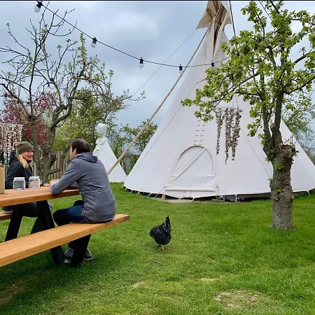 Slapen Tussen De Schapen In Pipowagen De Ome Jan Camping *