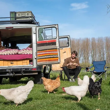 Slapen Tussen De Schapen In Pipowagen De Ome Jan * Zennewijnen