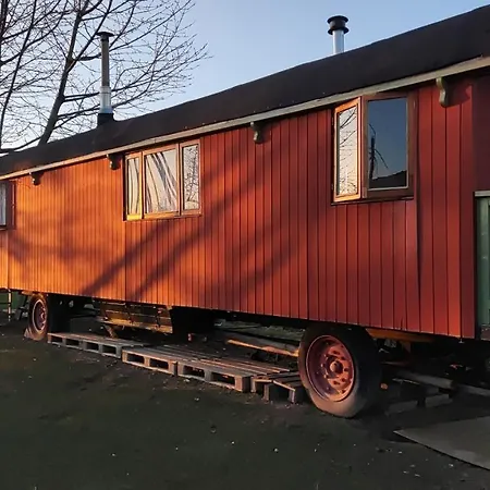 Slapen Tussen De Schapen In Pipowagen De Ome Jan Camping Zennewijnen