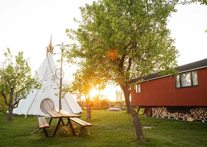 营地 Slapen Tussen De Schapen In Pipowagen De Ome Jan *