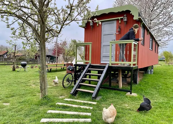 Slapen Tussen De Schapen In Pipowagen De Ome Jan Zennewijnen