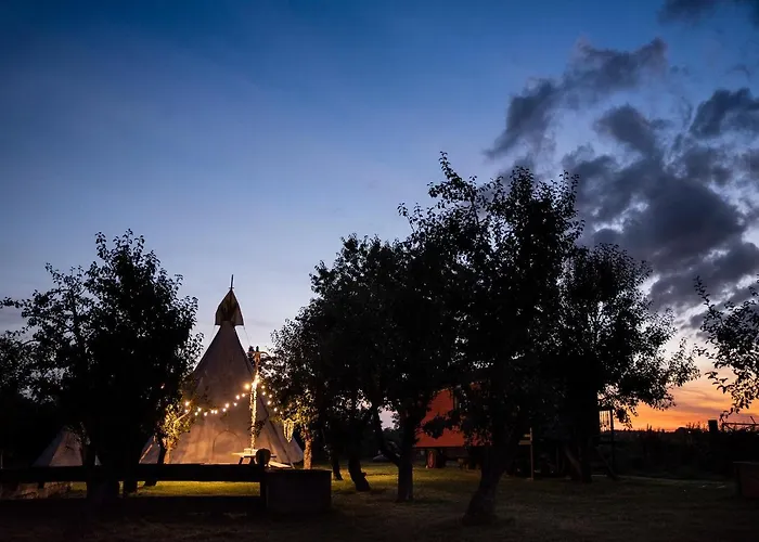 营地 Slapen Tussen De Schapen In Pipowagen De Ome Jan