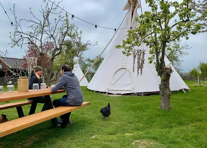 Slapen Tussen De Schapen In Pipowagen De Ome Jan 营地 *