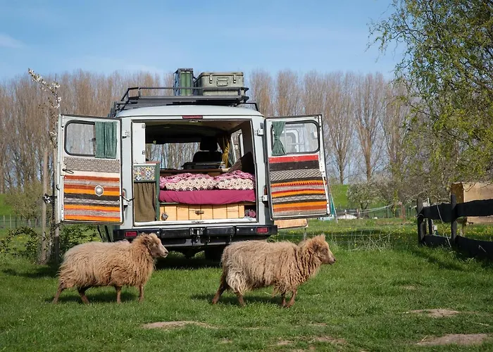 Slapen Tussen De Schapen In Pipowagen De Ome Jan 营地 Zennewijnen