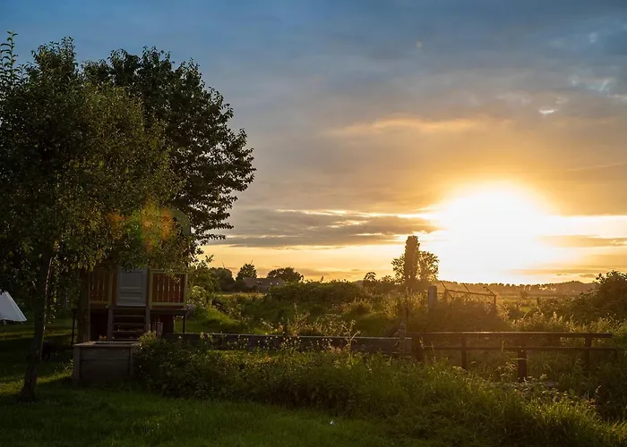 Slapen Tussen De Schapen In Pipowagen De Ome Jan 营地 Zennewijnen