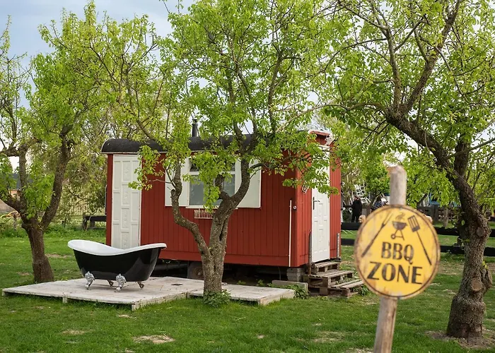 Slapen Tussen De Schapen In Pipowagen De Ome Jan 营地 Zennewijnen