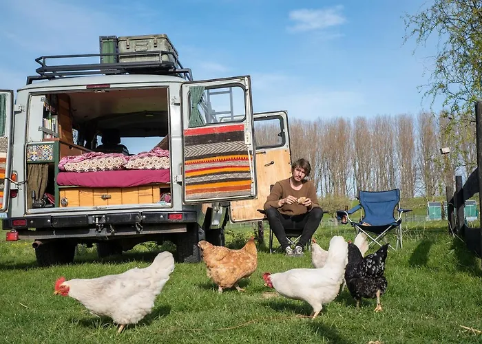 Slapen Tussen De Schapen In Pipowagen De Ome Jan * Zennewijnen