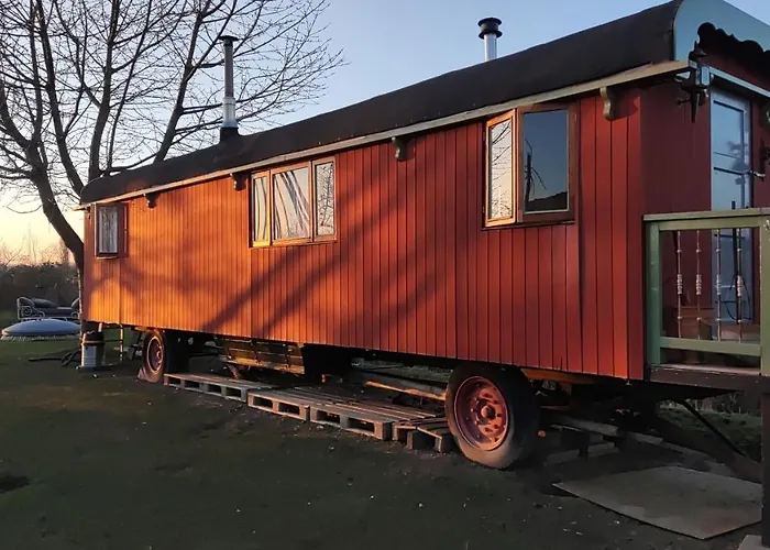 Slapen Tussen De Schapen In Pipowagen De Ome Jan 营地 Zennewijnen