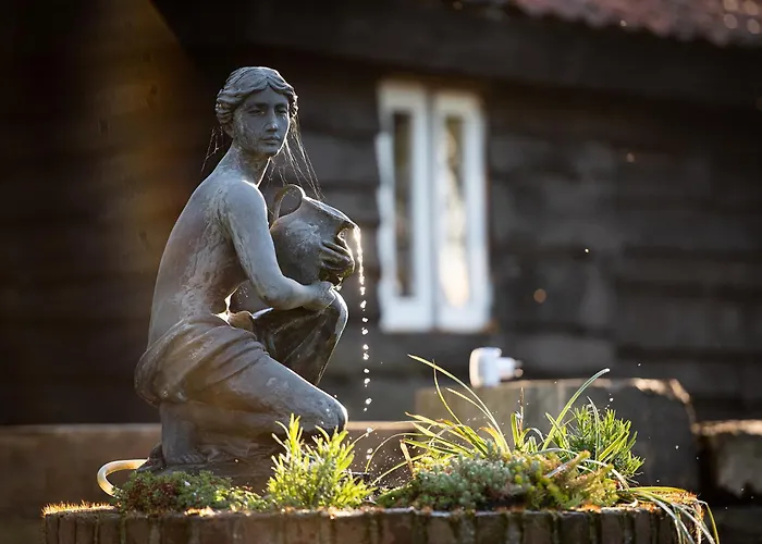 Slapen Tussen De Schapen In Pipowagen De Ome Jan