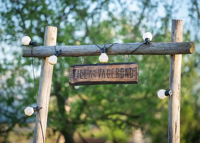 Slapen Tussen De Schapen In Pipowagen De Ome Jan *