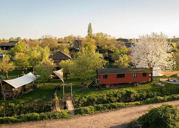 Slapen Tussen De Schapen In Pipowagen De Ome Jan * Zennewijnen