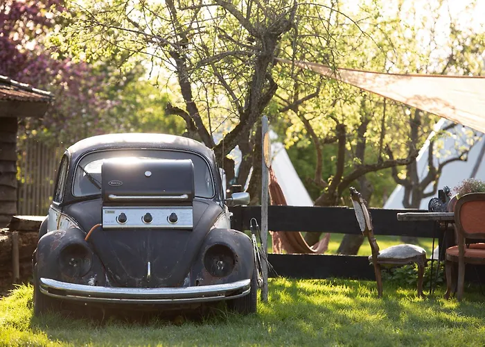 Slapen Tussen De Schapen In Pipowagen De Ome Jan 营地 Zennewijnen