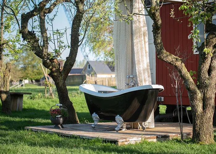 Slapen Tussen De Schapen In Pipowagen De Ome Jan