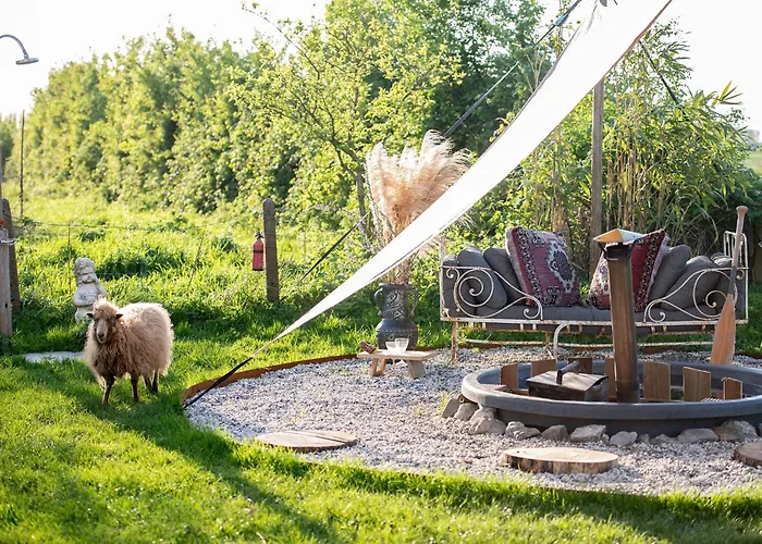 营地 Slapen Tussen De Schapen In Pipowagen De Ome Jan Zennewijnen
