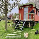 Slapen Tussen De Schapen In Pipowagen De Ome Jan Zennewijnen