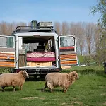 Slapen Tussen De Schapen In Pipowagen De Ome Jan Kemping Zennewijnen
