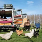Slapen Tussen De Schapen In Pipowagen De Ome Jan * Zennewijnen
