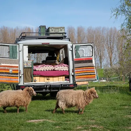 Slapen Tussen De Schapen In Pipowagen De Ome Jan אתר קמפינג Zennewijnen