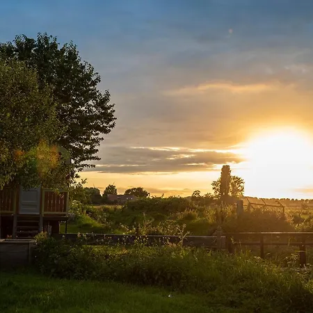Slapen Tussen De Schapen In Pipowagen De Ome Jan אתר קמפינג Zennewijnen