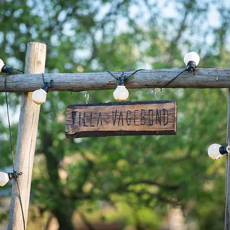 Slapen Tussen De Schapen In Pipowagen De Ome Jan *