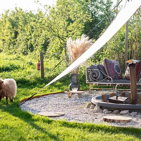 אתר קמפינג Slapen Tussen De Schapen In Pipowagen De Ome Jan Zennewijnen