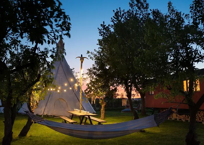 אתר קמפינג Slapen Tussen De Schapen In Pipowagen De Ome Jan Zennewijnen