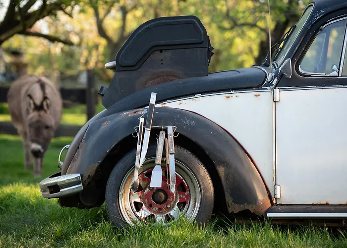 Slapen Tussen De Schapen In Pipowagen De Ome Jan אתר קמפינג *